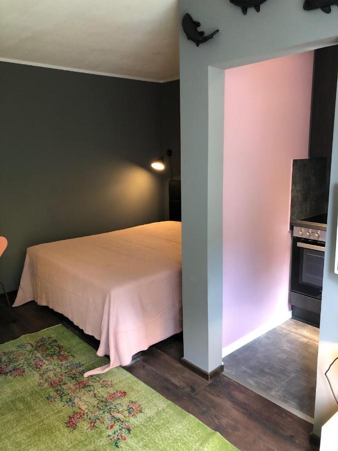 Studio Apartment In Dresden-Neustadt Εξωτερικό φωτογραφία